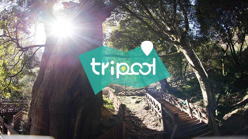 tripool旅步