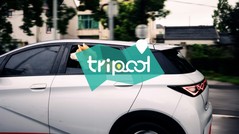 tripool旅步