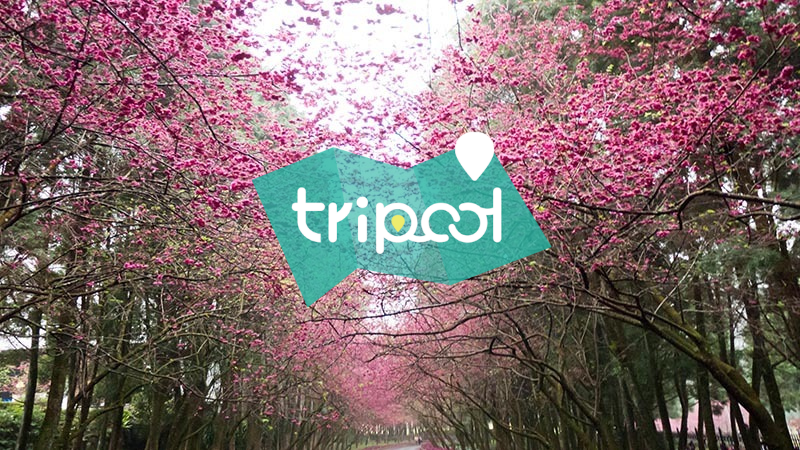 tripool旅步
