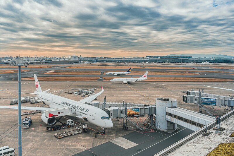 tripool旅步