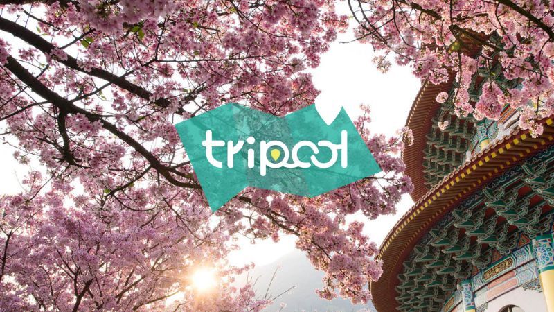 tripool旅步