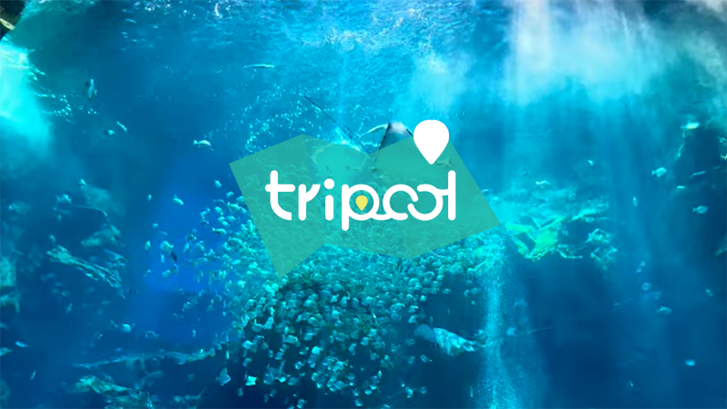 tripool旅步
