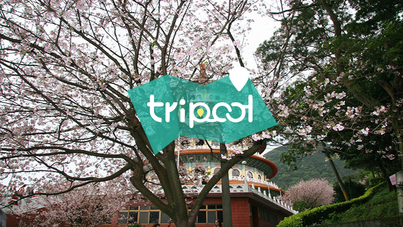 tripool旅步
